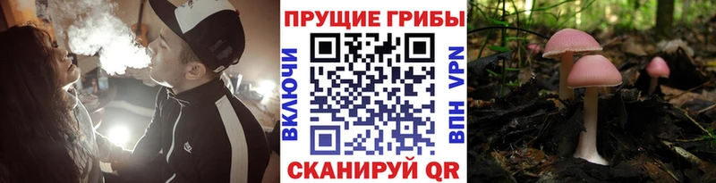 Галлюциногенные грибы ЛСД  наркота  Дюртюли 